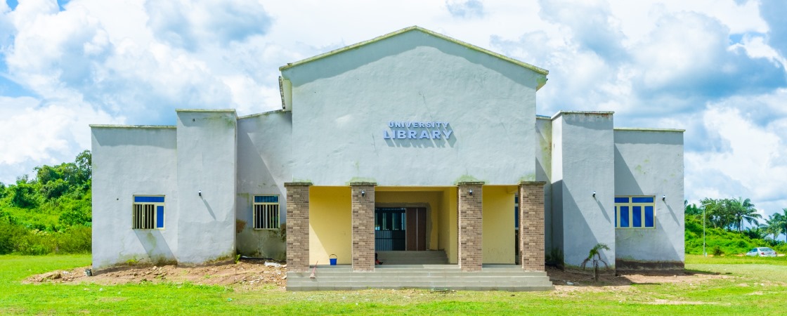 Library Overview